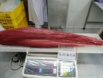 Fresh Yellowfin Tuna Loin - PT Sari Cakalang - Indonesia