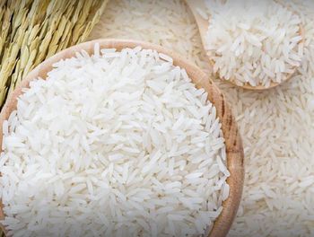 Thailand Jasmine Rice  - EEC POLAND LTD  - Poland