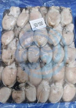 FROZEN CUTTLE FISH - HIGH QUALITY Freshness Level Frozen - PT Savya Coco Provita - Indonesia