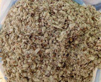 Cottonseed hulls Packaging Pp bags Max. Moisture (%) - ETS QUALITY SUPPLIES AND SERVICES - Cameroon