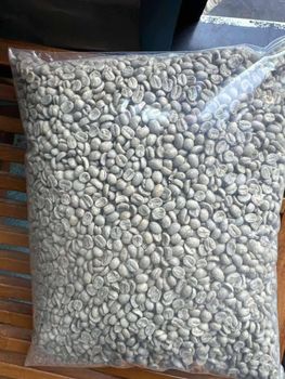 Fresh, premium Arabica coffee beans with rich aroma and smooth taste. 100% natural and high quality. - THE GREEN INTERNATIONAL LIMITED - Tanzania