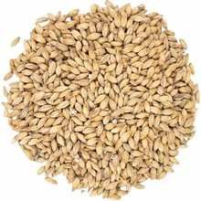 Pure Organic Barley Malt Dried Grains Size 3 Mm Style Dried Type Barley Ingredients None Brand Name Barley Model Number 6567 - Smart Agri GmbH - Germany