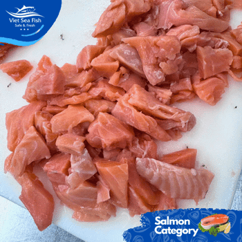 Frozen Mince Salmon Price 17 Usd/kg Size 320 Gr/tray Processing Type Mince Origin Chile And Norway Minimum Order Quantity - Viet Sea Fish Ltd., Co. - Vietnam