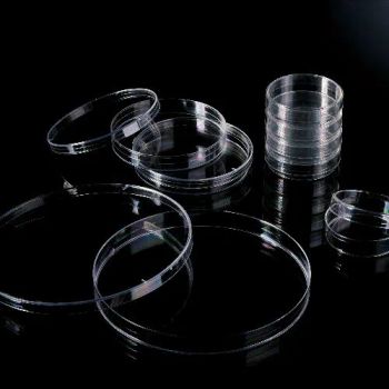 Sterilized Petri Dishes Cell Culture Lab Supplies Color Clear Sterile Yes Model NO. 60x15 Trademark Biologix Size 60mm 90mm - Biologix Corporation - China