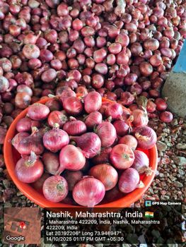 Onion – product photo, Mixed Fresh Vegetables products found from trusted suppliers, wholesalers, manufacturers & exporters Listing
