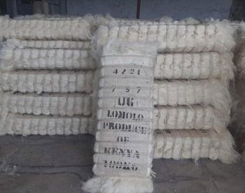 Sisal Fibre from Savannah Source Global Trade Ltd Sisal Fibre - Savannah Source Global Trade Ltd - Kenya