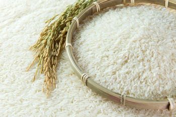🌾 Your Trusted Supplier of Premium Thai Rice - Quality, Variety & Global Reach 🌾 - Pro Overseas Co., Ltd. - Thailand