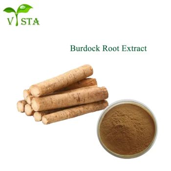 High Quality Traditional Chinese Medicine Herbal Extract Arctium Lappa Burdock Root Extract - Qingdao Vista Bio. Tech. Co., Ltd - China