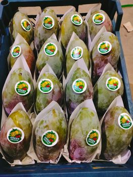 Fresh Mango Organic Yes Origin Egypt Degree of Processing Frozen Degree Of Maturity Mature, Semi-Ripe, Unripe - Elmontag Co - Egypt