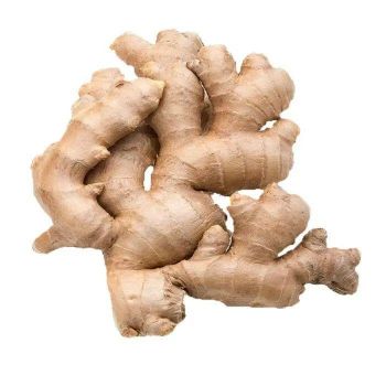 Fresh Organic Ginger High Quality Natural New Harvest Farm Produced Spice Root Ideal For Cooking And Export from EAST LAND PROPERTIES Fresh Organic Ginger High Quality Natural New Harvest Farm Produced Spice Root Ideal For Cooking And Export – product photo, Organic Ginger Juice products found from trusted suppliers, wholesalers, manufacturers & exporters Listing