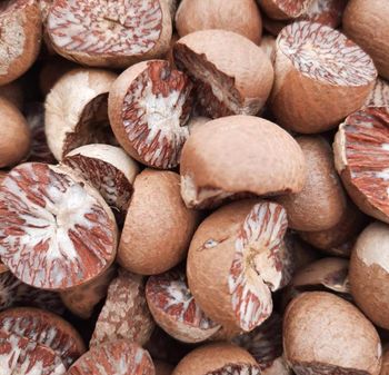 Superior Raw Betel Nuts Fresh Quality Rich Texture Buy Direct From Trusted Supplier At Competitive Market Price from CPW TRADE LTD Superior Raw Betel Nuts Fresh Quality Rich Texture Buy Direct From Trusted Supplier At Competitive Market Price - CPW TRADE LTD - United Kingdom