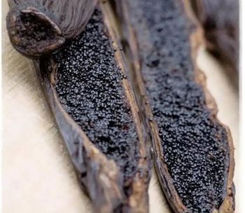Vanilla Bean Gourmet - cv hanjaya teknologi indonesia - Indonesia
