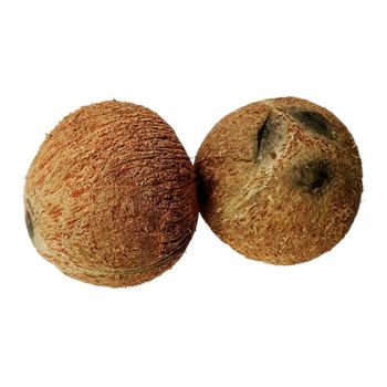 Husked Coconut Fruit Type Other Degree Of Maturity Mature Degree of Processing Other - PT Maden Export Indonesia - Indonesia