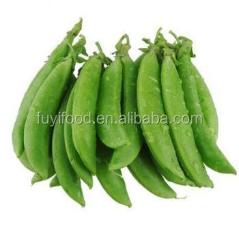 snap pea/Well received by consumers/high quality and sales volume - Guangdong Fuyi Agricutural Group Co., Ltd. - China
