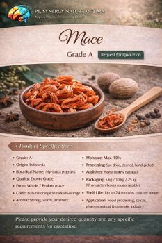 Mace Features Organic Origin Worldwide Product Type Fruits & Vegetables Flavor Strong Aroma And Rich Flavor Application Cooking, Seasoning, And Traditional - PT. Synergy Natura Optima - Indonesia