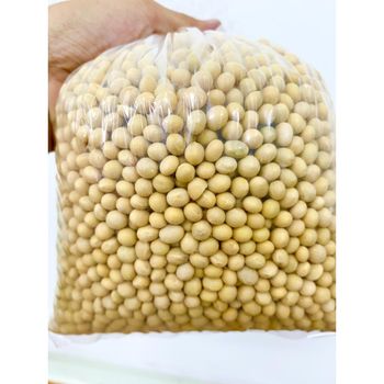 NON GMO Soya Beans for Sale Max Yellow Gift Crop Bulk Style Packing Packaging Food YZF Color Weight Shelf Origin - MIGHTY ASIA COMPANY LIMITED - Vietnam