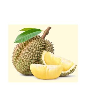 HIGH QUALITY FROZEN DURIAN MONTHONG THE GREATEST TASTE AND PREMIUM QUALITY from J.C.P IMPORT AND EXPORT CO., LTD HIGH QUALITY FROZEN DURIAN MONTHONG THE GREATEST TASTE AND PREMIUM QUALITY - J.C.P IMPORT AND EXPORT CO., LTD - Thailand
