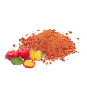 Nutrient Dense Brazilian Food Lactose Free Dried Fruit Powder Organic Acerola Freeze Dried Powder - 100 POR CENTO Amazonia Exportacao e Representacao Ltda - Brazil