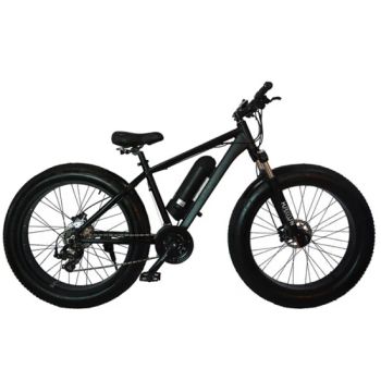 750 W Electric Bike 750W 48V 14ah Ebike Electric Bike Electric Fat Bike Ebike - Bicystar Group Co., Limited - China