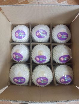 fresh coconut Cut Type Top Cut Filling With Jelly Shape Diamond Shape Handle Design Coco Thumb Flavor Fragrant And - TROPICA CO LTD - Vietnam