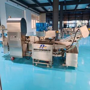 Foreign Object Removal and Cleaning Machine for Leafy Vegetables and Root-Stem Vegetables - Qingdao Huaye Machinery Co., Ltd. - China
