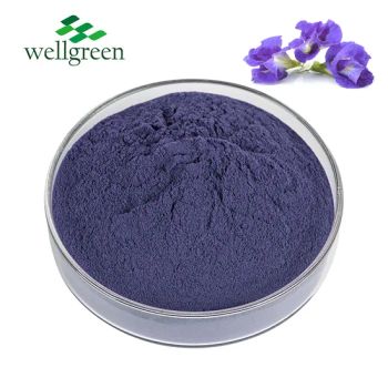 Wellgreen WG-DP01 Butterfly Pea Powder Food 1kg/Alu-Foil 25kg/Carton - Wellnature Biotech Co., Ltd - China