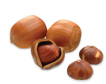 Highly Pure and Natural Hazelnut Oil Form liquid Type Carrier oil Certification GMP Model Number ACO-735 Place of Origin - AROMAAZ INTERNATIONAL PRIVATE LIMITED - India