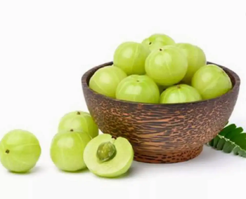 Organic Fresh Fruit Green Yellow Sour Sweet Packaging Good Flavor Thailand Preserved Indian Gooseberry Delicious and Healthy - Baan Krueng Saing - Thailand