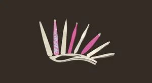 High Quality Beauty Tweezers by Kum for Eyebrow - KUM Beauty Shanghai Co., Ltd. - China