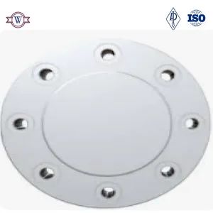 API 6A Blind Flange for Oil Field - Wise Channel Industries Limited - China