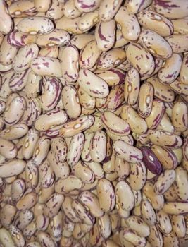 Light Speckled Kidney Beans - Farmers Cooperative Limited - Tanzania
