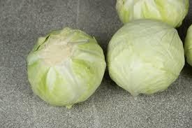 Fresh white Cabbage for Sale Grade A Sugars 4.8g Fat Around 0.1g Fiber Around 3g Protein About 1.2g Vitamins High In B9 Energy About 24 Kcal - W&E HOLDING BV - Netherlands