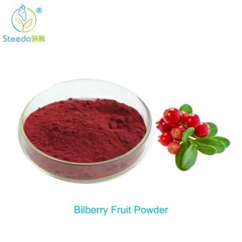Manufacturer of High Quality Natural Bilberry Fruit Extract Juice Powder Bulk - Henan Steeda Industrial Co., Ltd. - China
