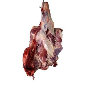 Super Organic Bulk-Packed Halal Beef Carcasses Freeze Dried Beef Tripe Food Grade LQF Process Including Fore Quarter. - N.G westen holding B.V - Netherlands
