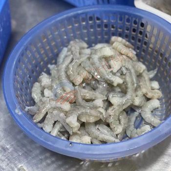 Top grade P&D Frozen Vannamei Shrimps ready for bulk purchase at discount price - TRADECENTRIC LLC - United States