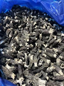 Dried morels Grade A Origin China Texture Plump Shape Complete Place of Origin china Moisture Content Around 8%% Cultivation Type Cultivated - HK JINYIDA TRADING CO.,LIMITED - Hong Kong