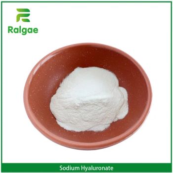 Foods Grade Sodium Hyaluronate Foods Additive Ingrdient Color White State Powder Origin China Trademark Ralgae EINECS 618-620-0 - Qingdao Algaenutra Biotech Co., Ltd. - China