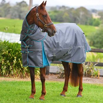Premium Quality Horse Equipment Equine Equestrian Waterproof Rugs Breathable Horse Rugs - Dongguan Ope Equestrian Co., Ltd. - China