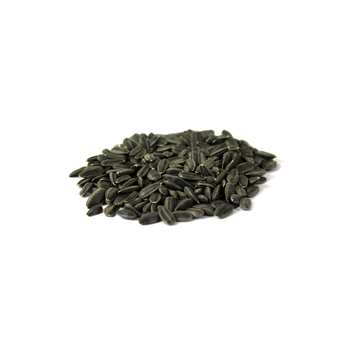 Bulk supply Sunflower Seeds low price wholesale fast delivery fresh seeds Sunflower Seeds - MASI TRADING GMBH - Germany