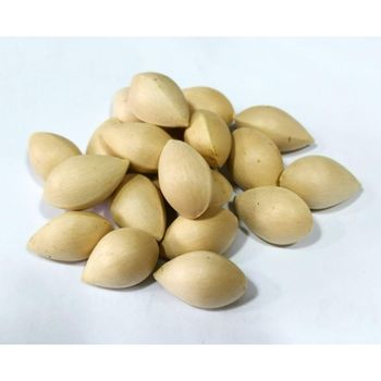 High Purity Ginkgo Nuts Clean Processed Whole Seeds Delivering 98% Kernel Integrity For Wholesale Buyers - TOSOH INTERNATIONAL - South Africa