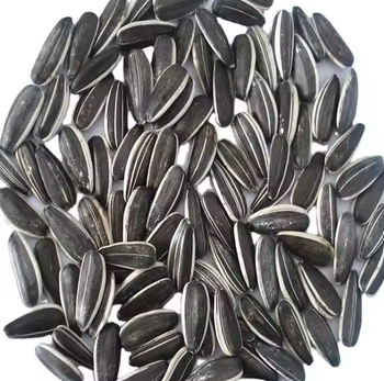 sunflower seed - TRADE NEPAL LLC - United States