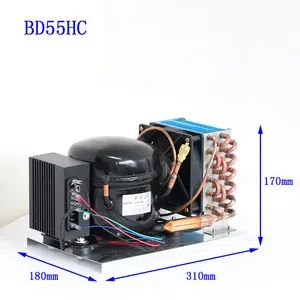 Bd55hc 12V24V Without Control Panel Compressor Units Condensing Units for 400liters Solar Refrigerator Freezer Fridge DC Compressor for Portable Refrigerator - Hangzhou Purswave Technology Co., Ltd. - China