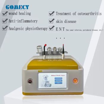 Class IV Laser Therapy Veterinary for Horse Dog Cat Therapy Equipment 30W 980nm Vet Therapeutic Laser - Yoeshon Physiotherapy Limited - China
