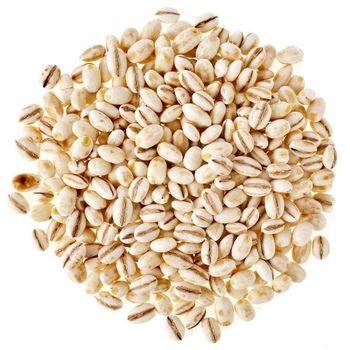 Barley (Premium Quality Barley) - AGROCARTE EXIM ENTERPRISES PVT LTD - India