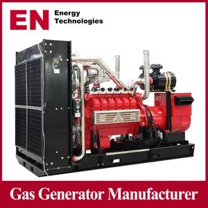50Hz 1500rpm AC Commins Styre Syngas LNG CNG LPG Open Container Type Electrical 3 Phase Piston Power Plant Biomass Biogas Energy M - Qingdao En Energy Technology Co., Ltd - China