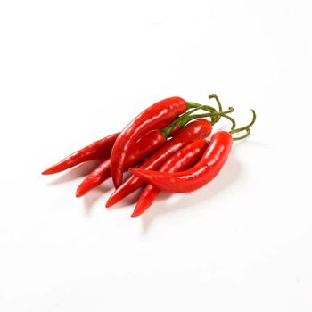 Organic Red Fresh Chili Pepper Hand Selected Spicy Harvest With Rich Color And Strong Natural For Kitchen Use - TRADECENTRIC LLC - United States