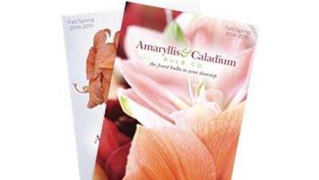 Product – product photo, Arisaema Flower Bulbs products found from trusted suppliers, wholesalers, manufacturers & exporters Listing