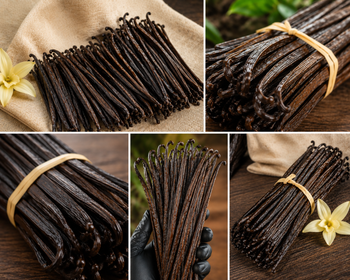 Madagascar Bourbon Vanilla Beans – Grade A from Burgesia Madagascar Bourbon Vanilla Beans – Grade A - Burgesia - Romania