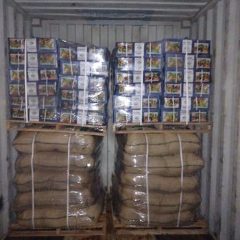 Vegetable seeds Germination Rate High Shipment Readiness Immediate Yielding Performance Excellent Delivery Method Local Delivery - Green Skill Agro - Saudi Arabia