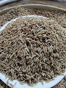 Cumin Seeds - Noorgat Enterprises - India